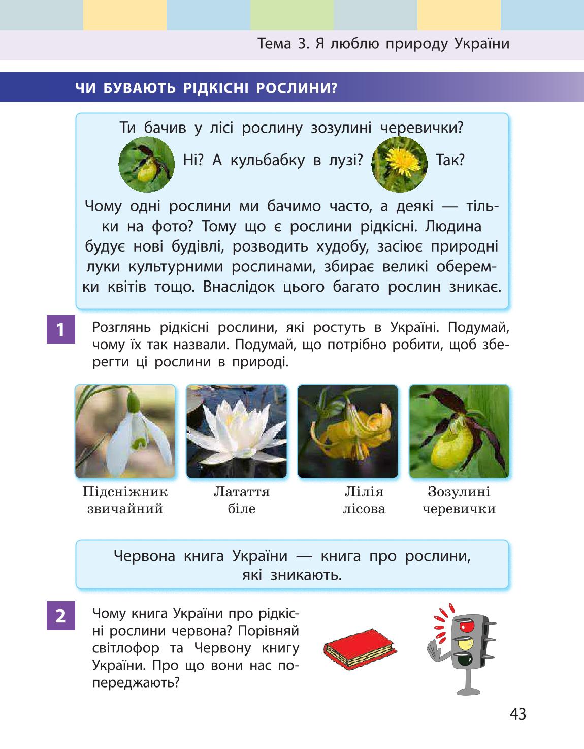 Мініатюра 43