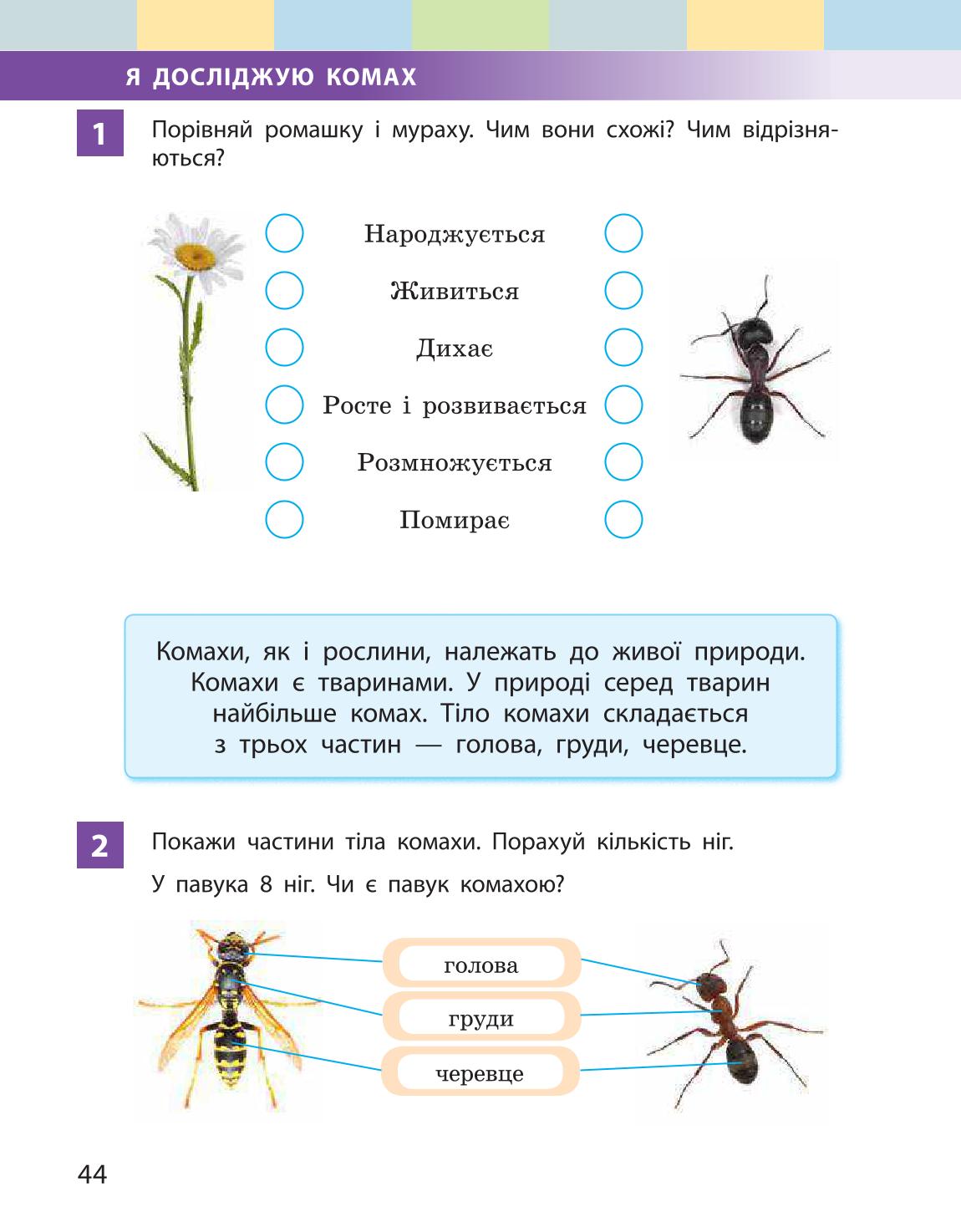 Мініатюра 44