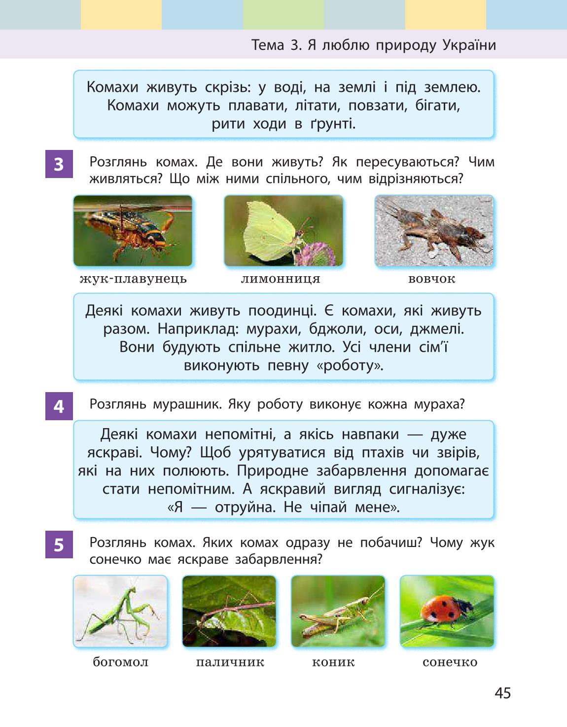 Мініатюра 45