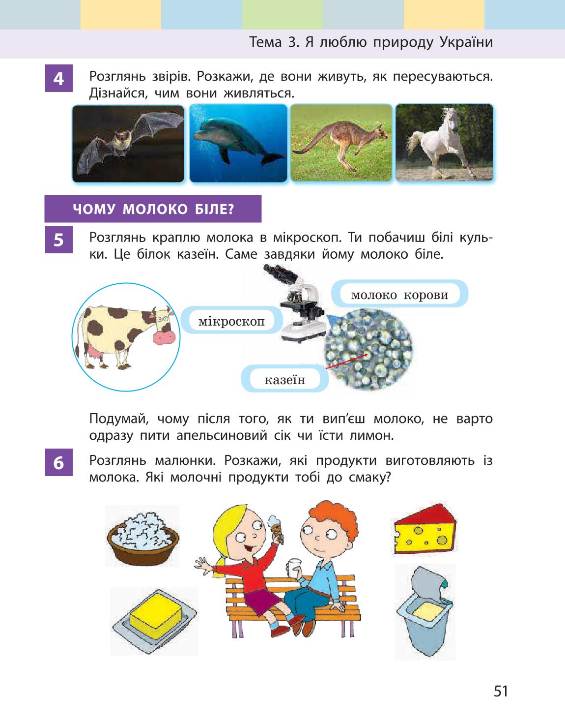 Мініатюра 51