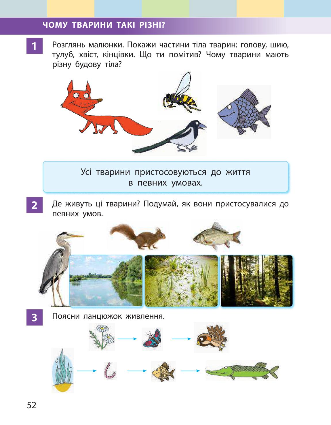 Мініатюра 52