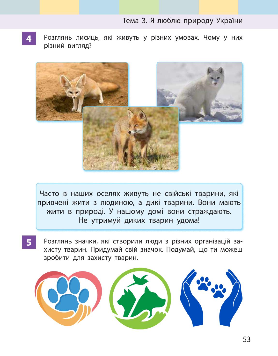 Мініатюра 53