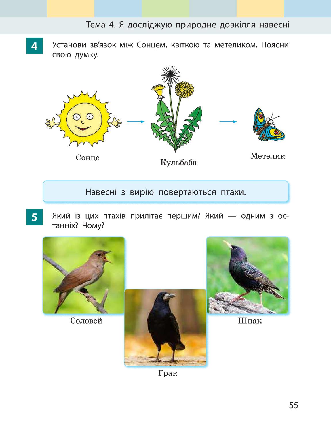 Мініатюра 55