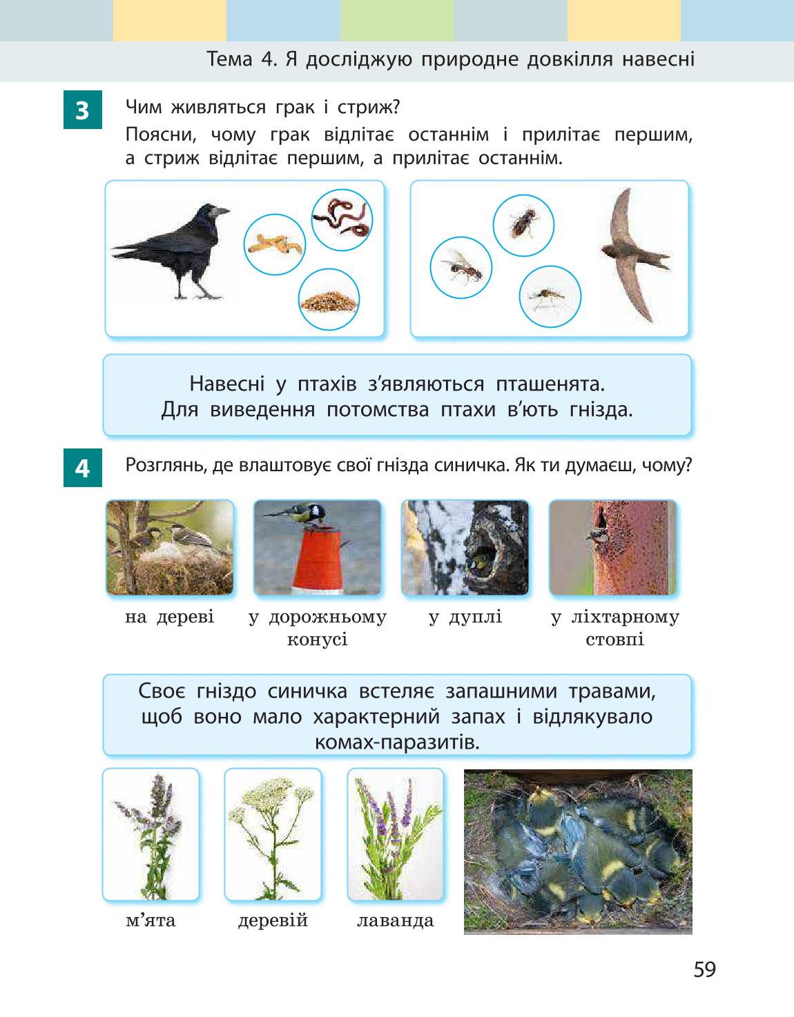 Мініатюра 59