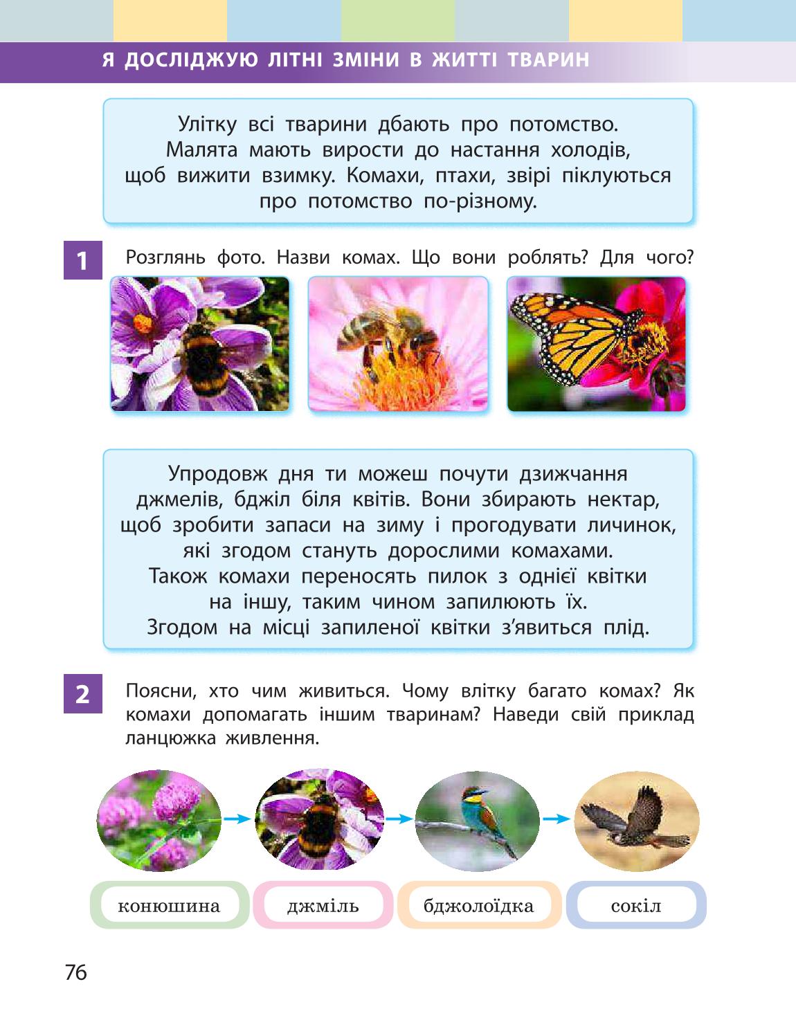Мініатюра 76