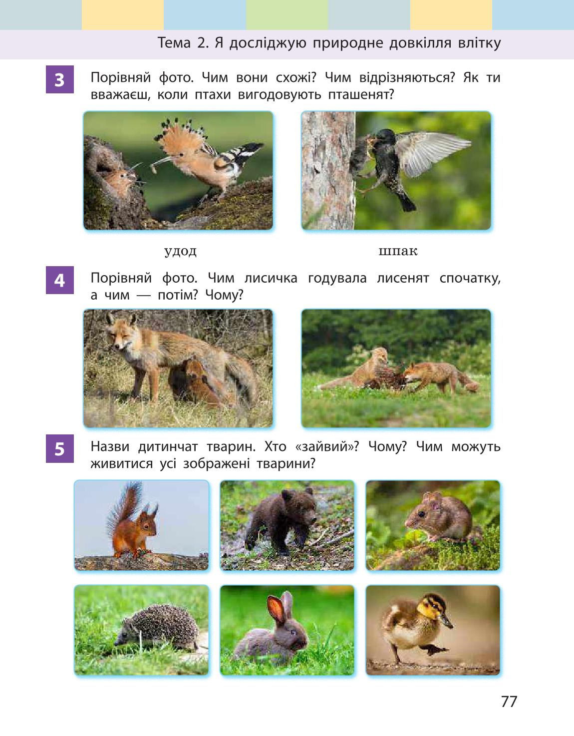 Мініатюра 77