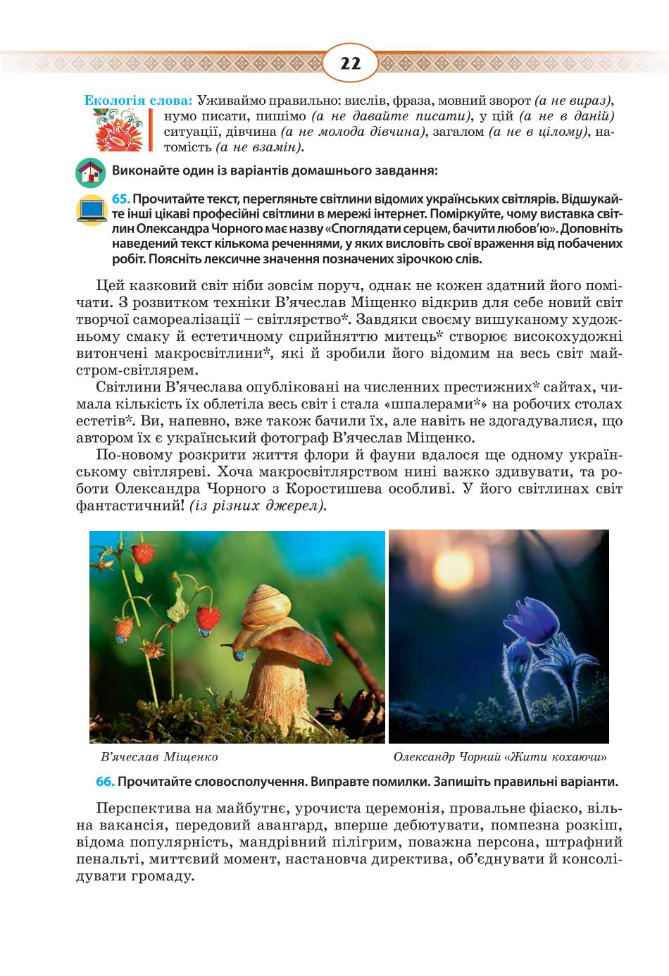 Мініатюра 22