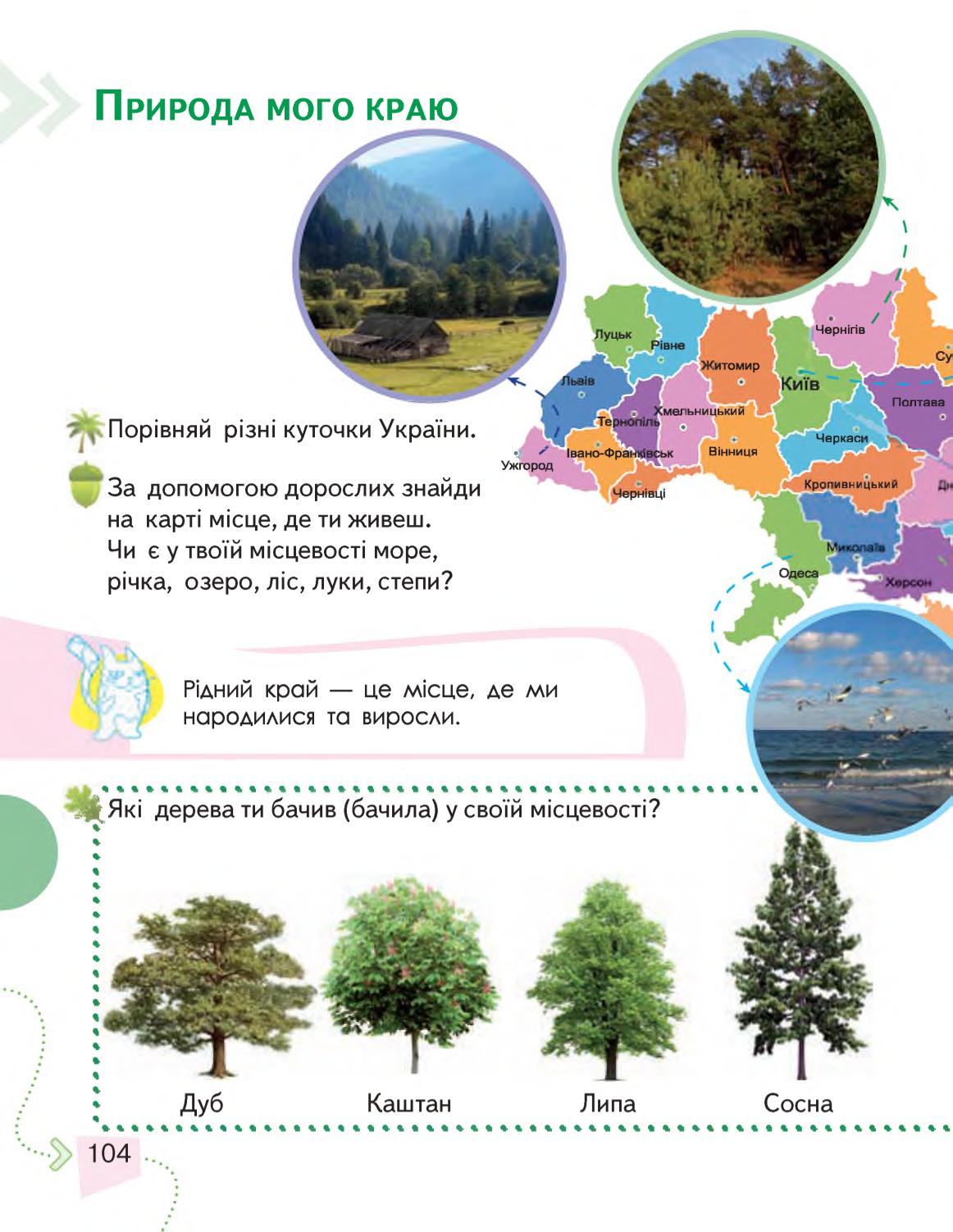 Мініатюра 104