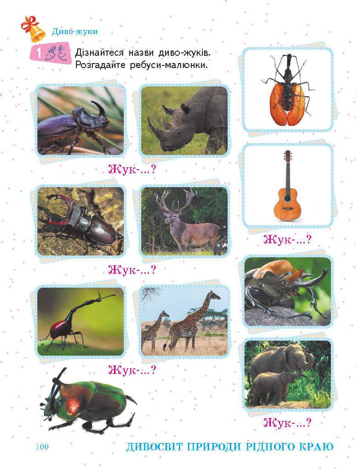 Мініатюра 100