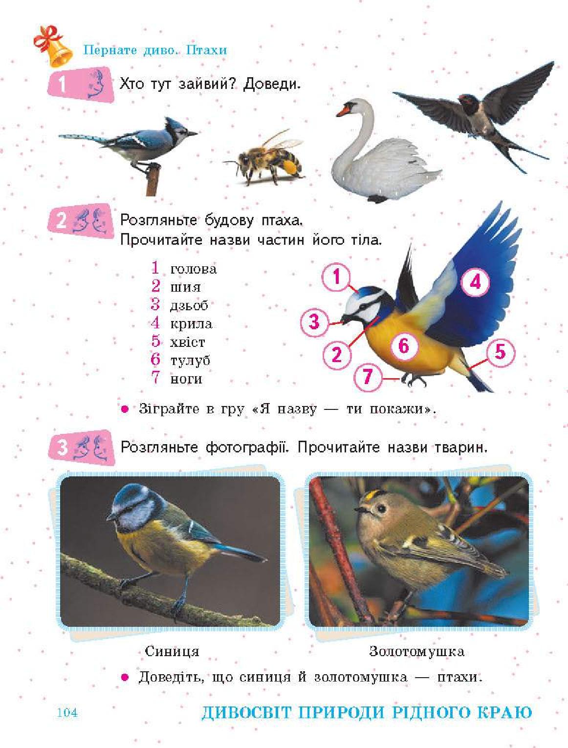 Мініатюра 104