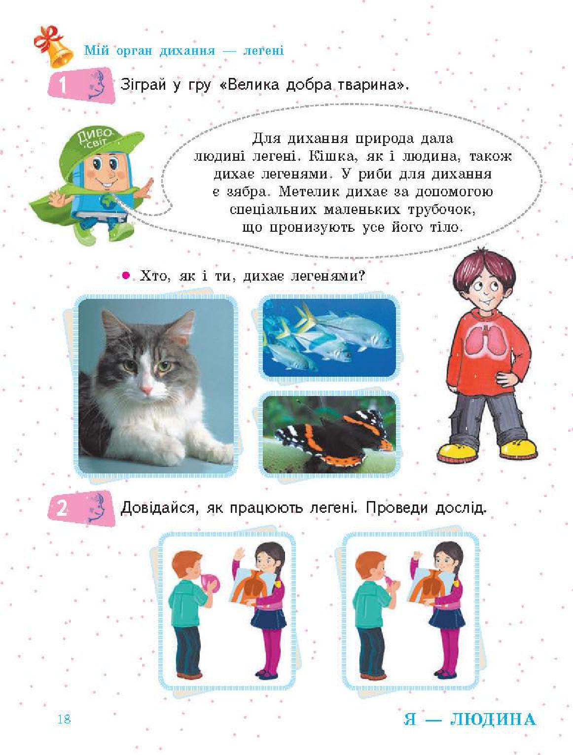 Мініатюра 18