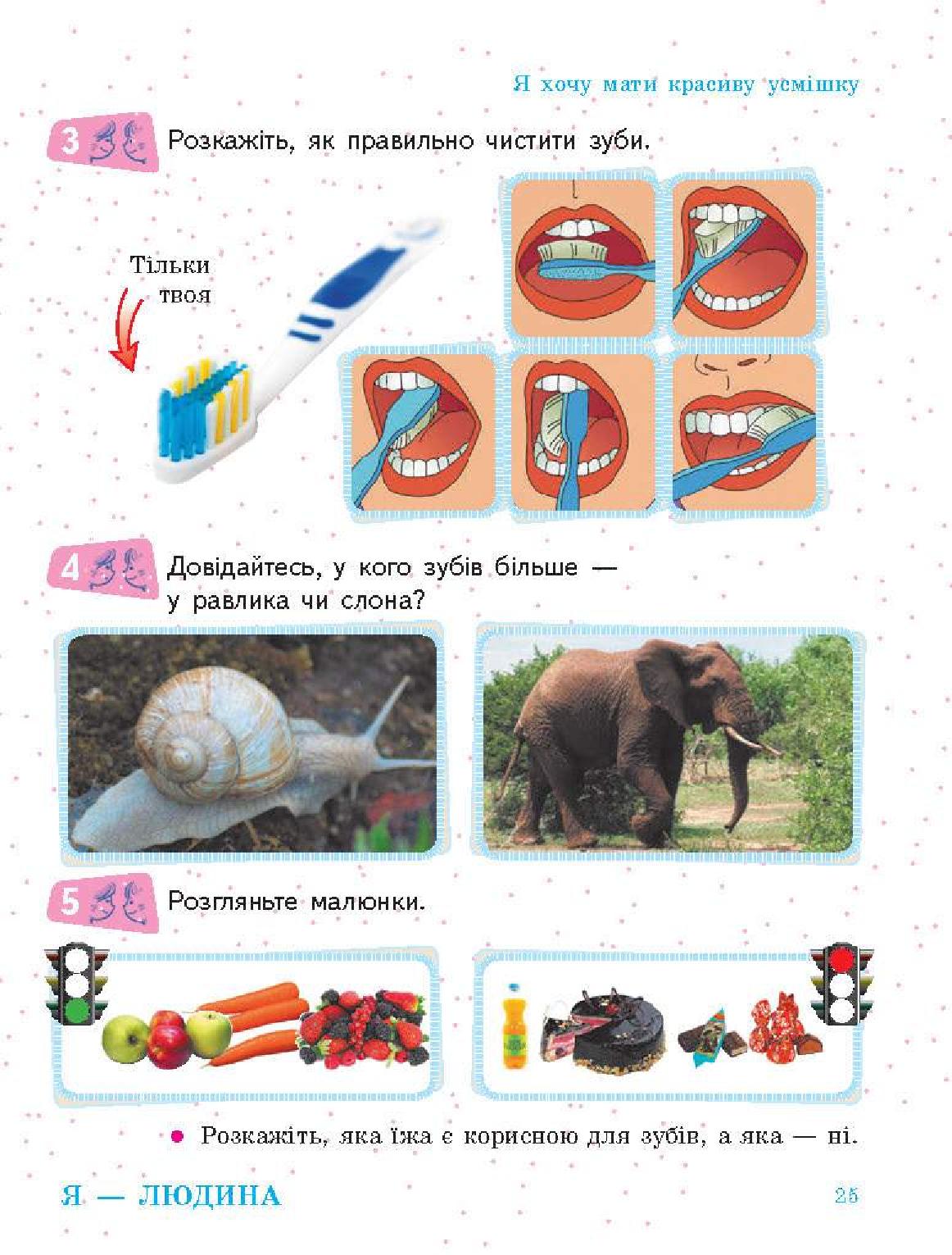Мініатюра 25