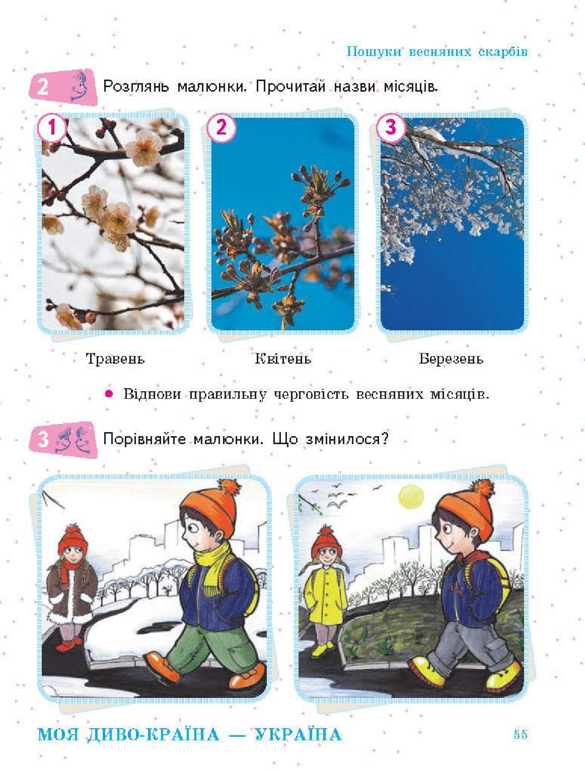 Мініатюра 55