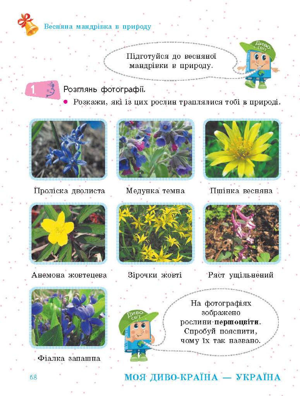 Мініатюра 58