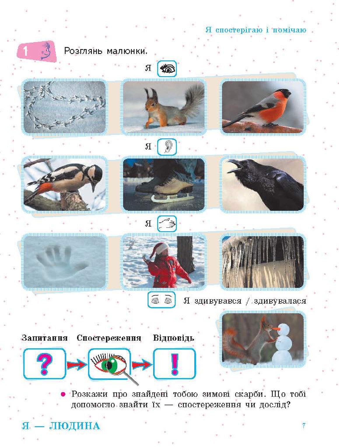 Мініатюра 7
