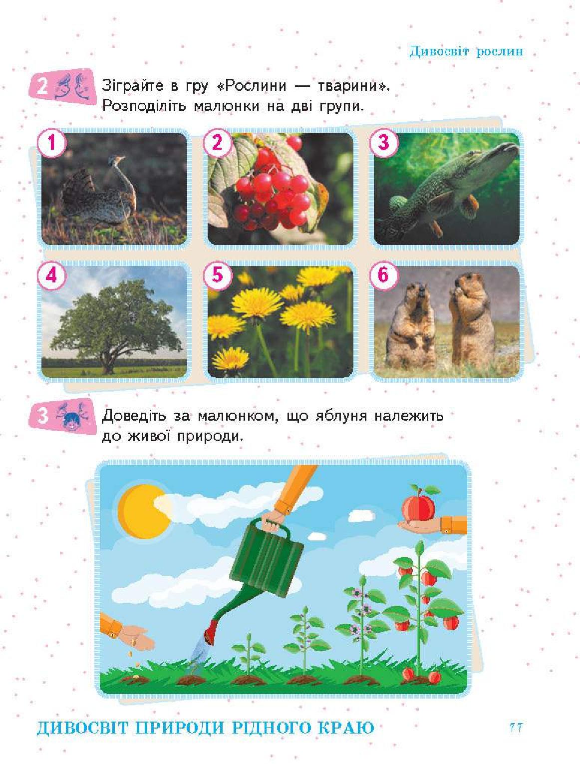 Мініатюра 77