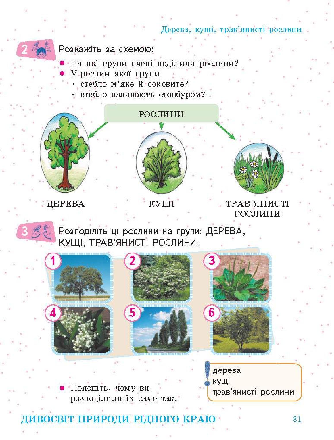 Мініатюра 81