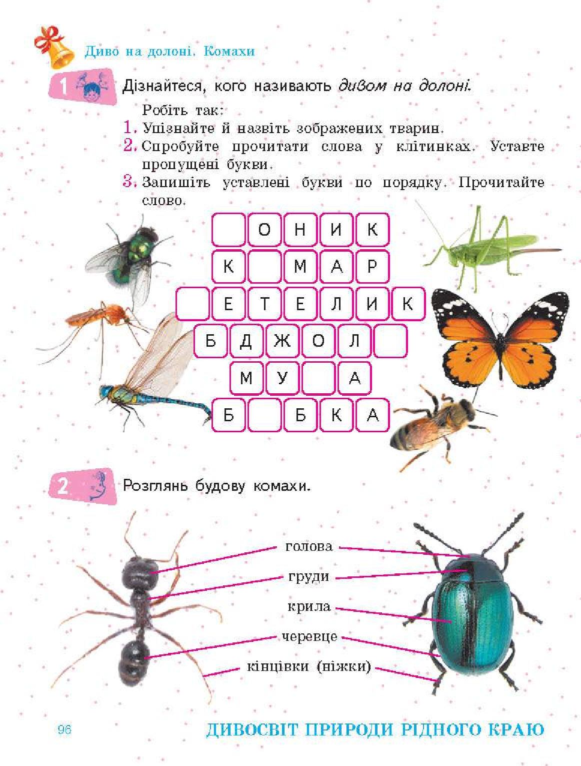 Мініатюра 96