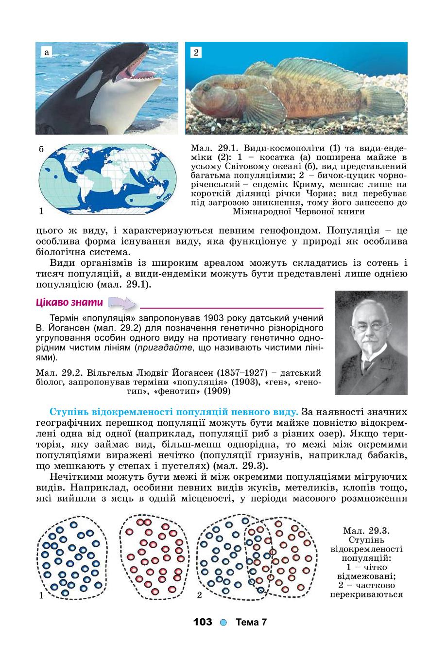 Мініатюра 103