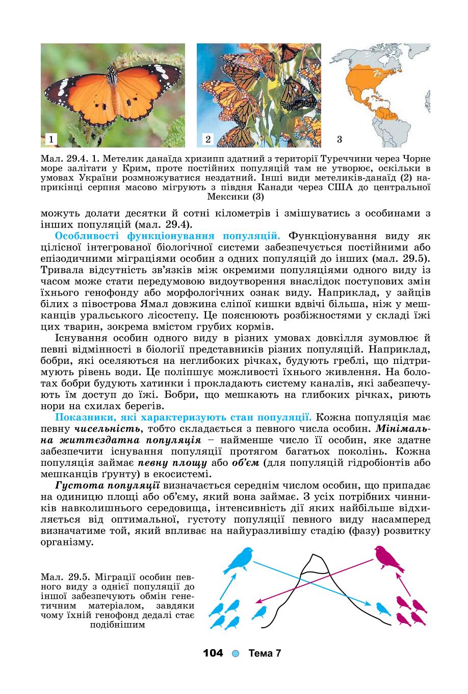 Мініатюра 104