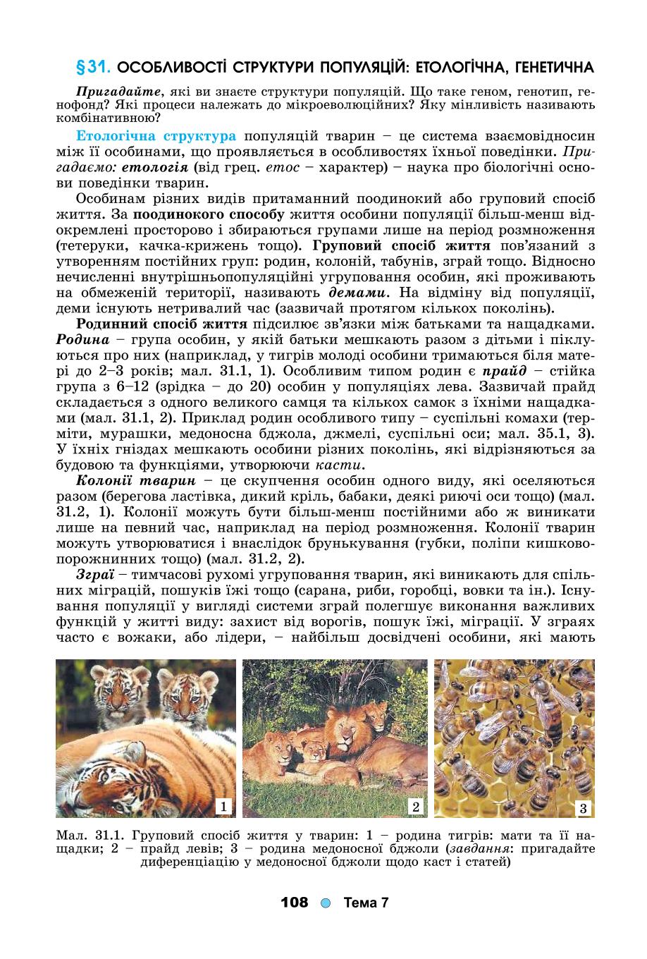 Мініатюра 108