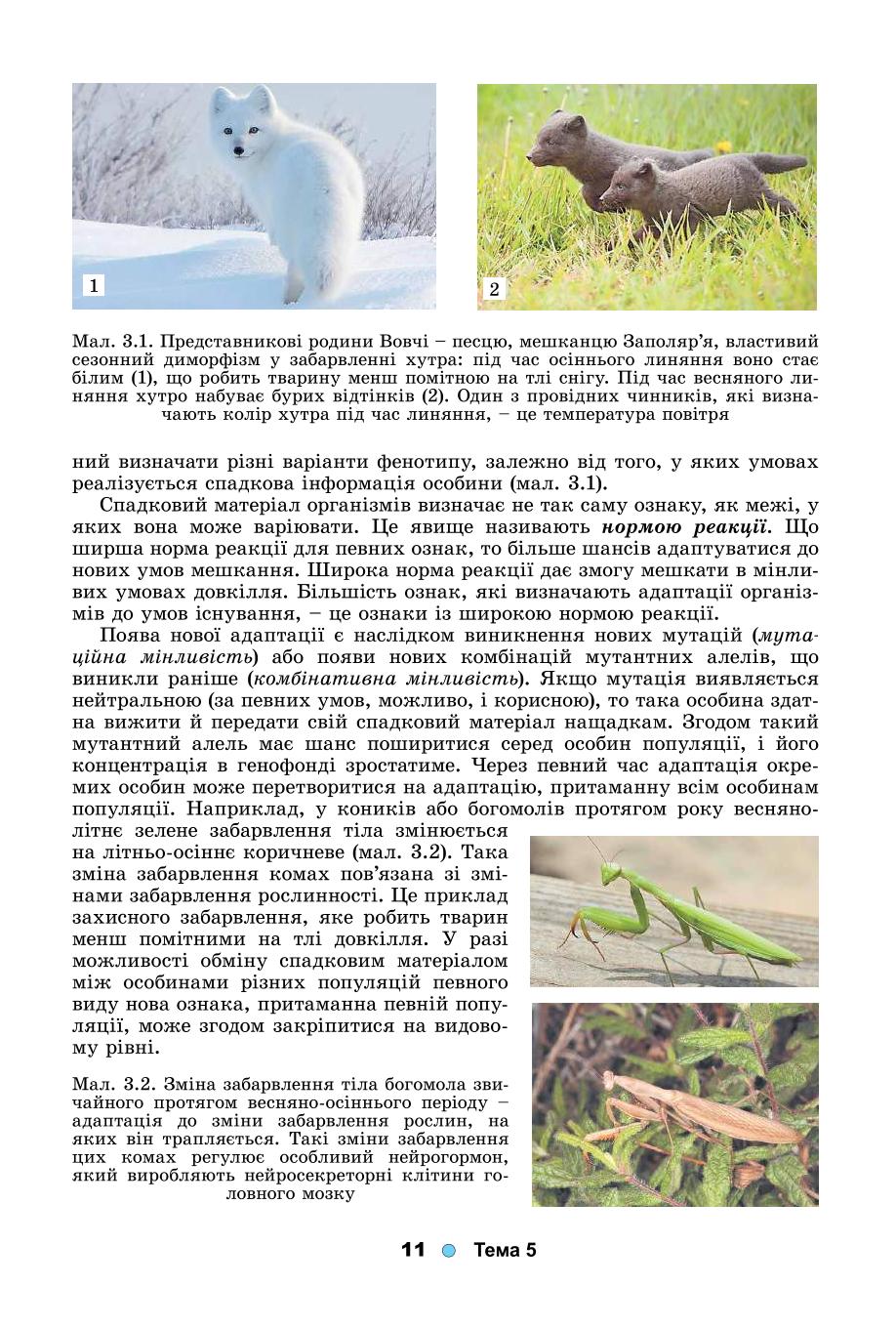 Мініатюра 11