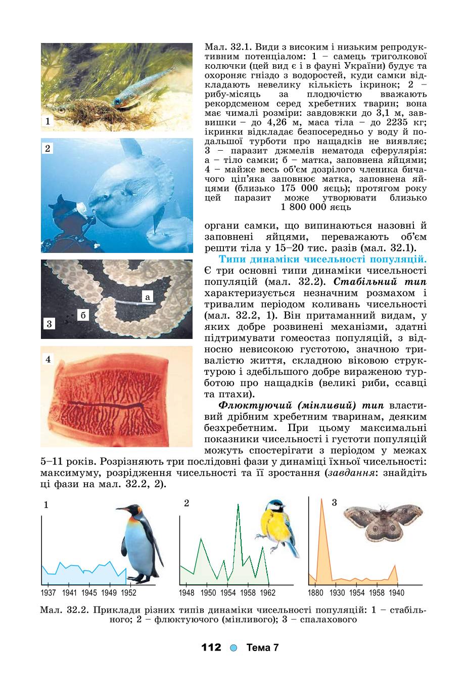 Мініатюра 112