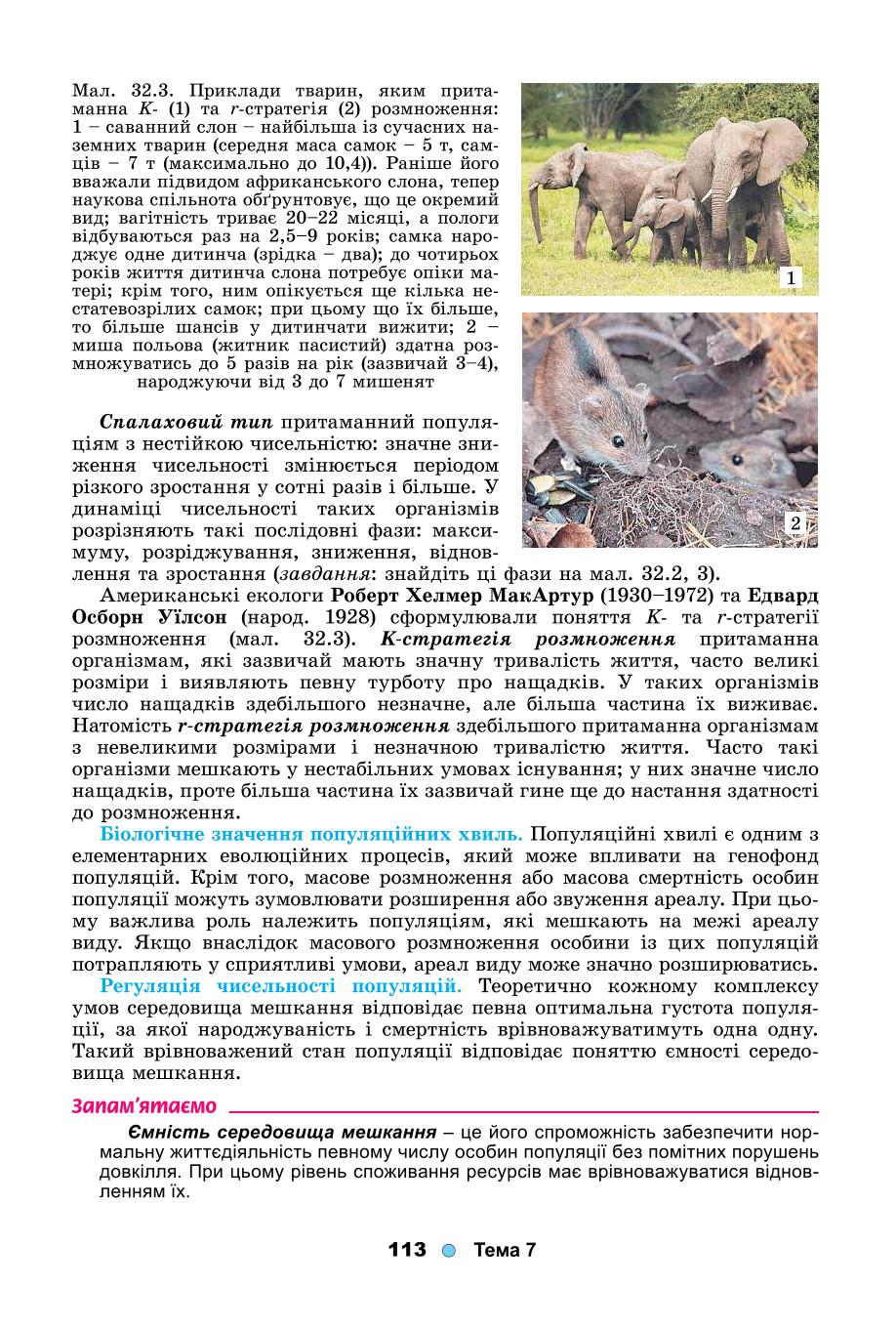 Мініатюра 113