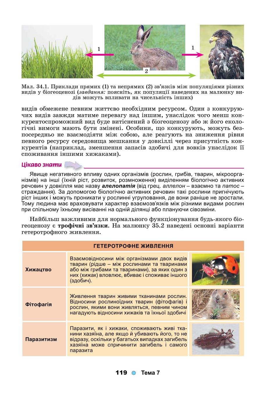 Мініатюра 119