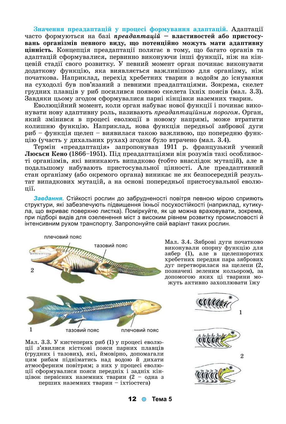 Мініатюра 12