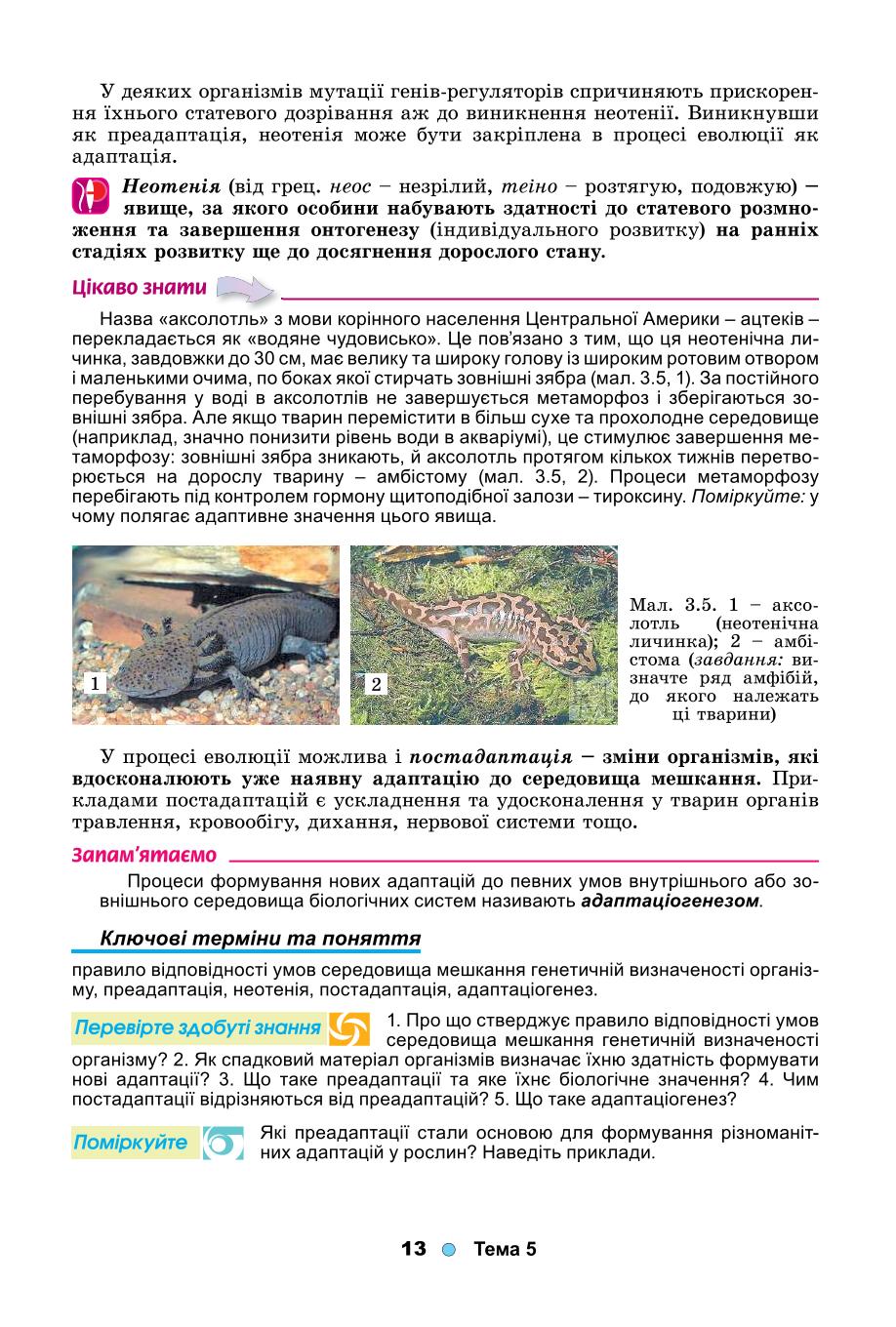 Мініатюра 13