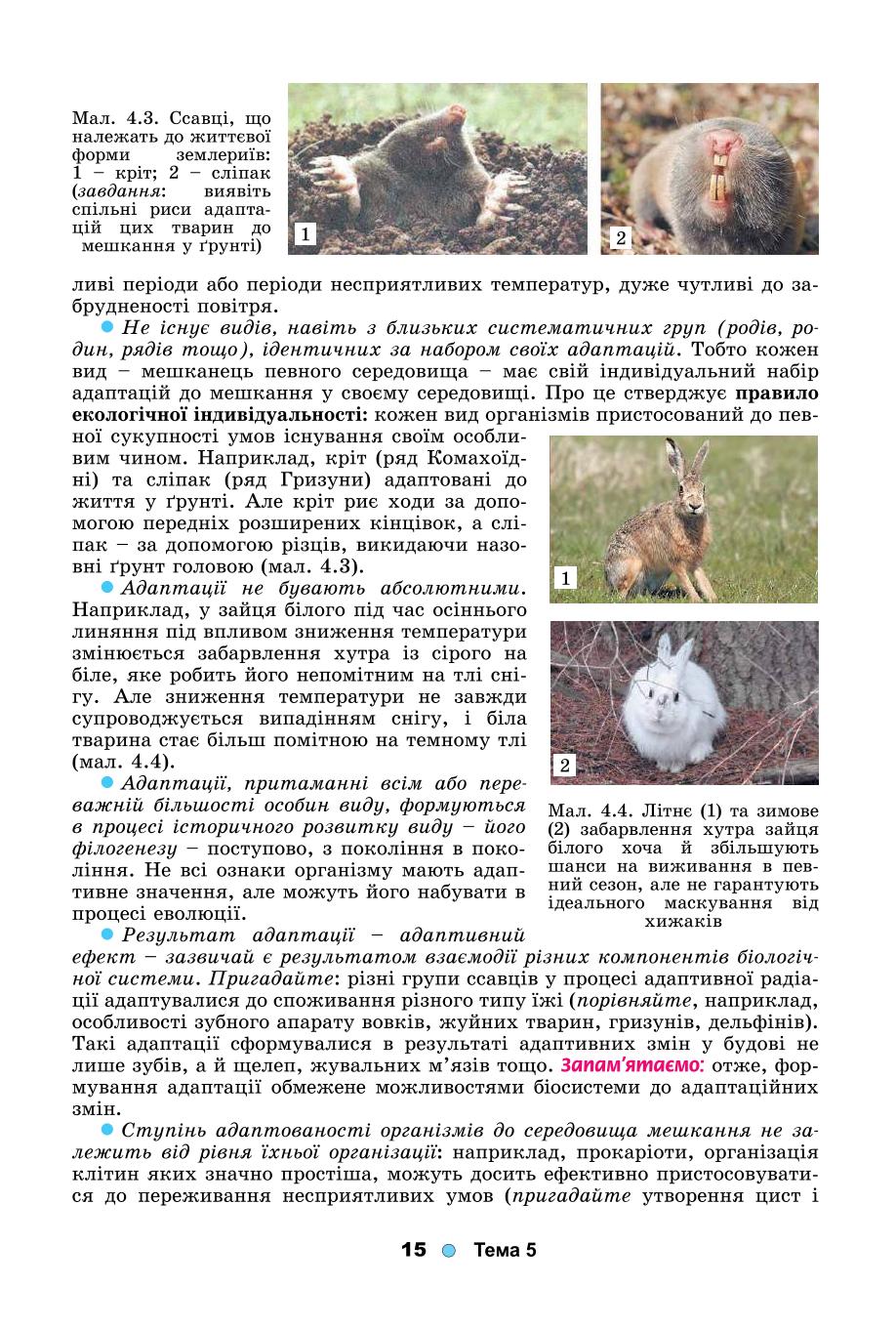 Мініатюра 15