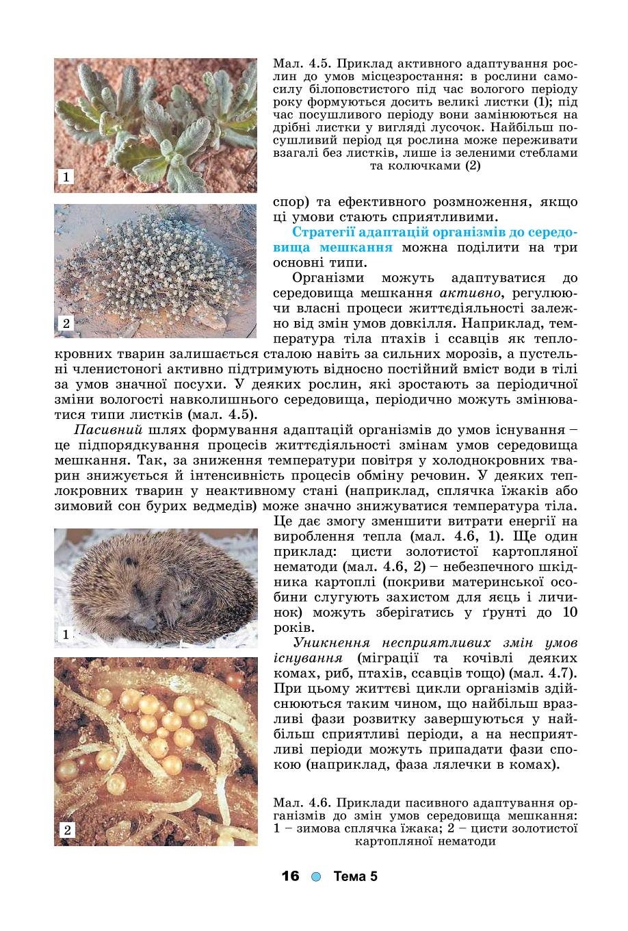 Мініатюра 16