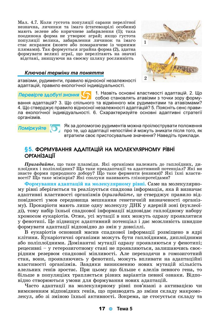 Мініатюра 17