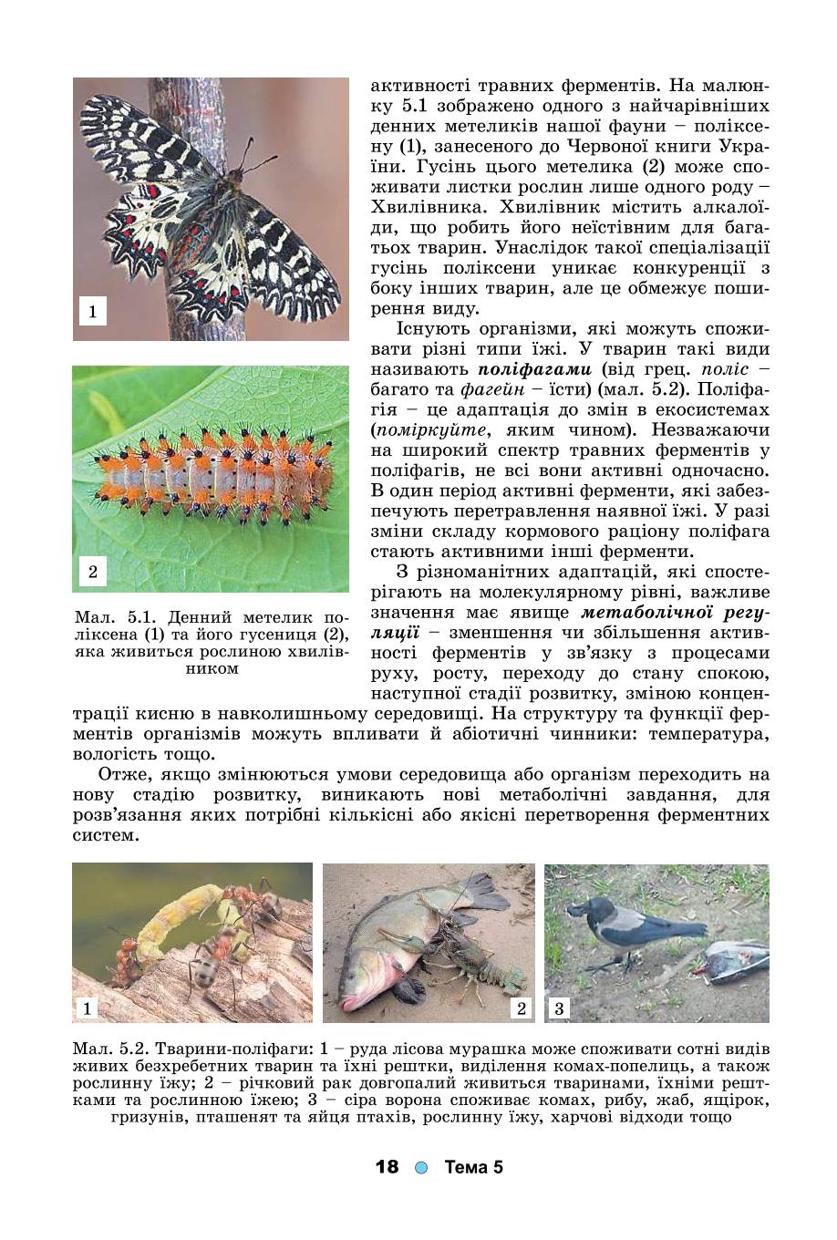 Мініатюра 18