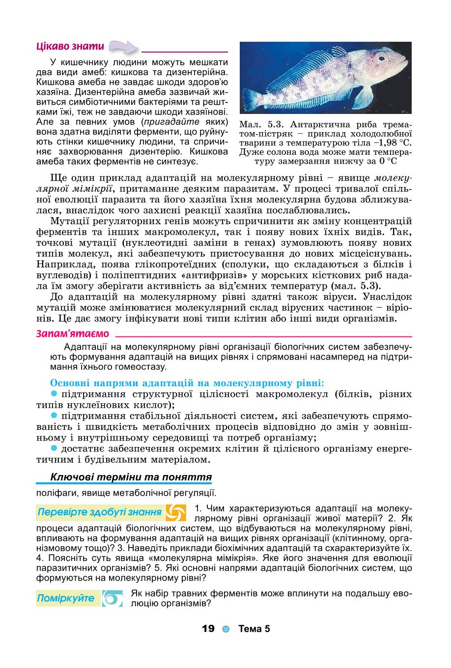 Мініатюра 19