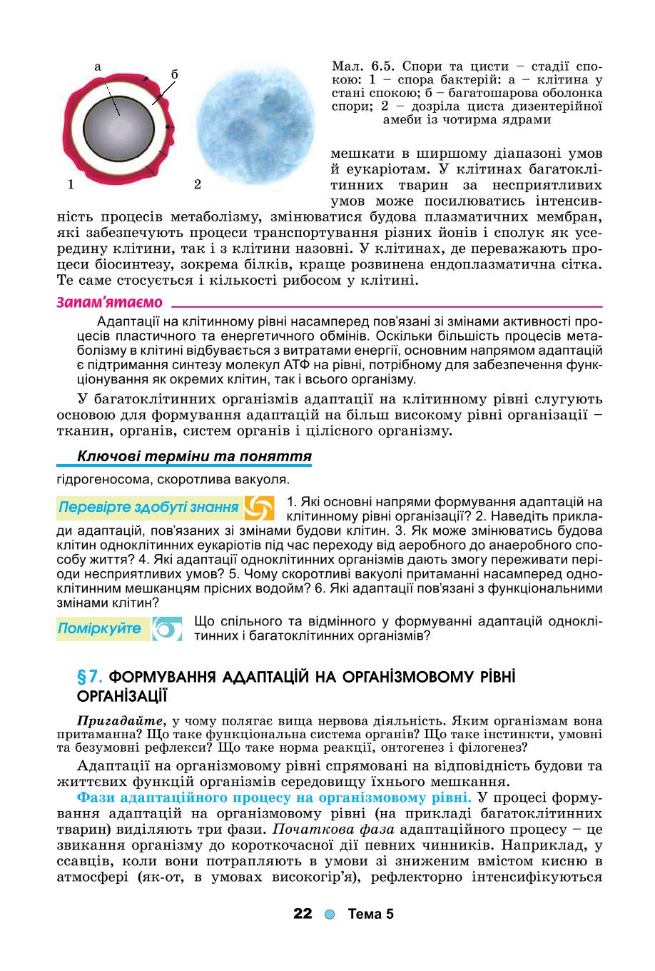 Мініатюра 22