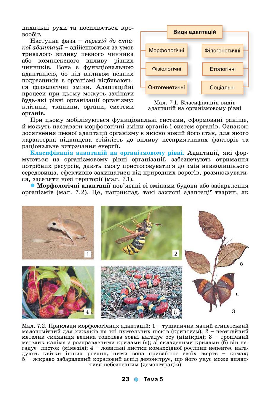 Мініатюра 23