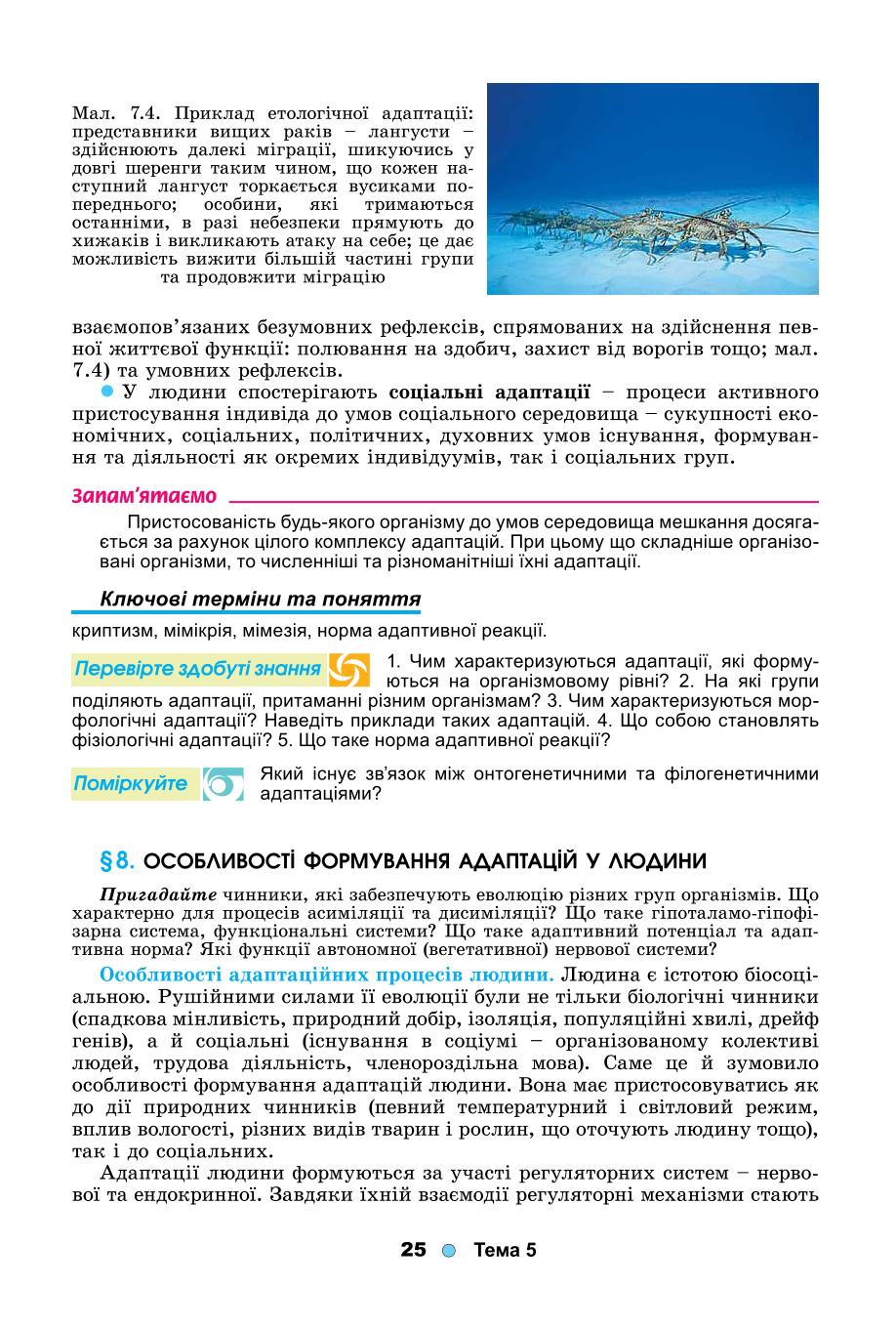 Мініатюра 25