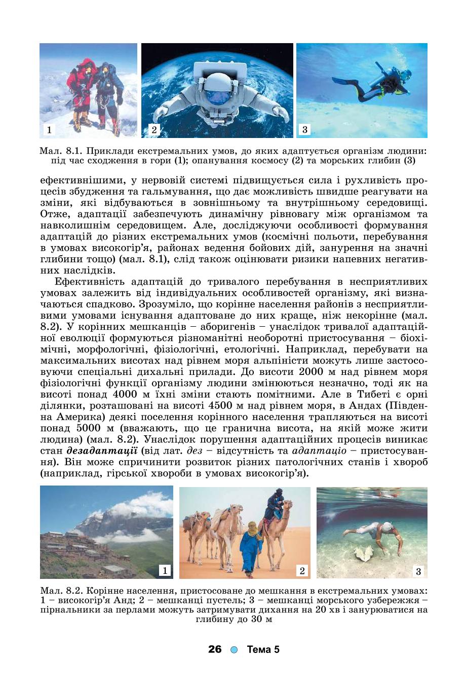 Мініатюра 26