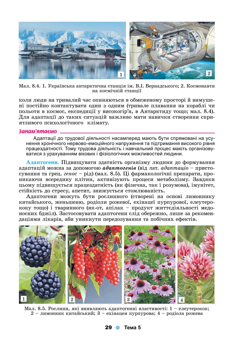 Мініатюра 29