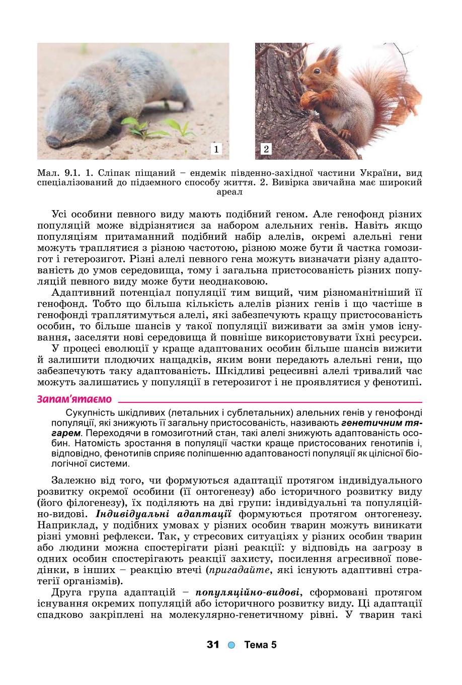 Мініатюра 31