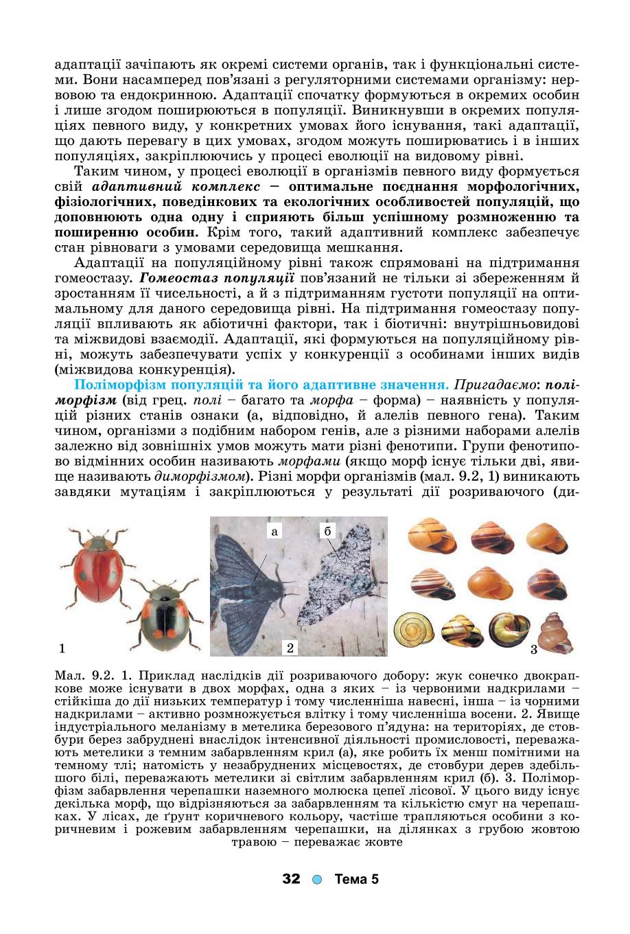 Мініатюра 32