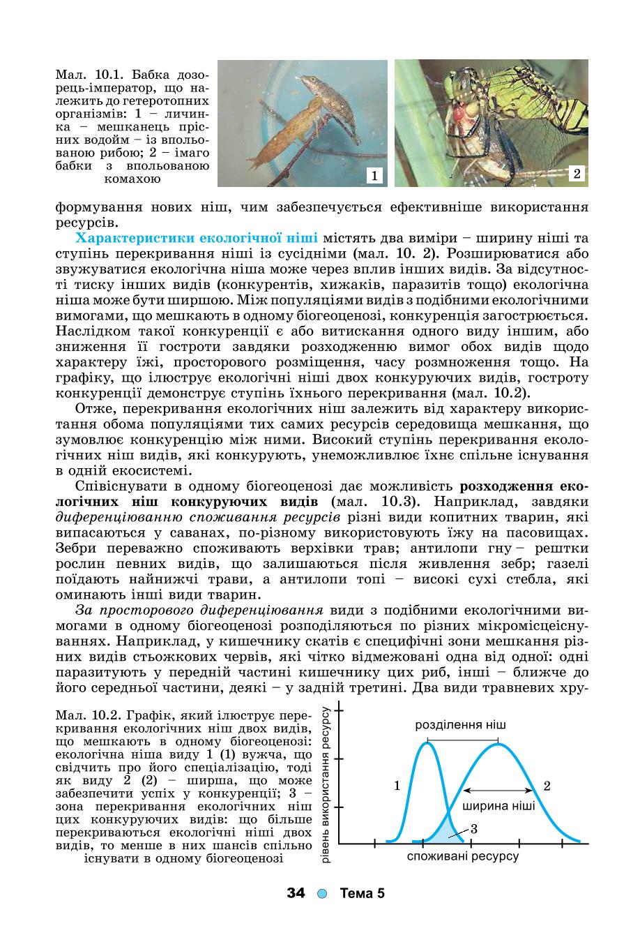 Мініатюра 34