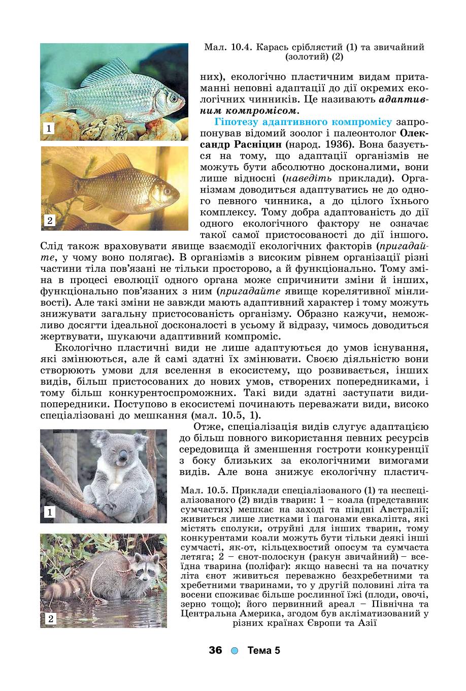 Мініатюра 36