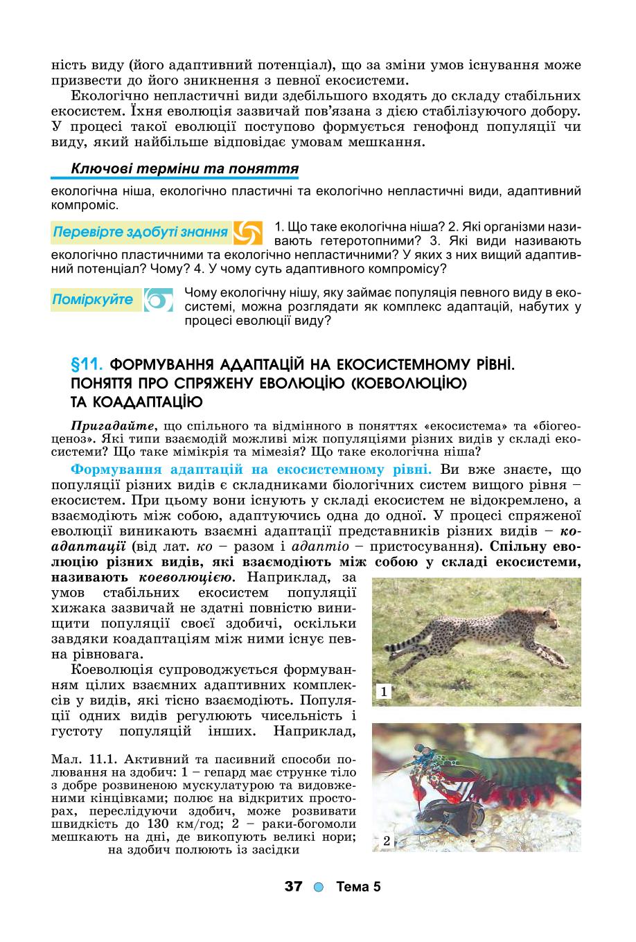 Мініатюра 37