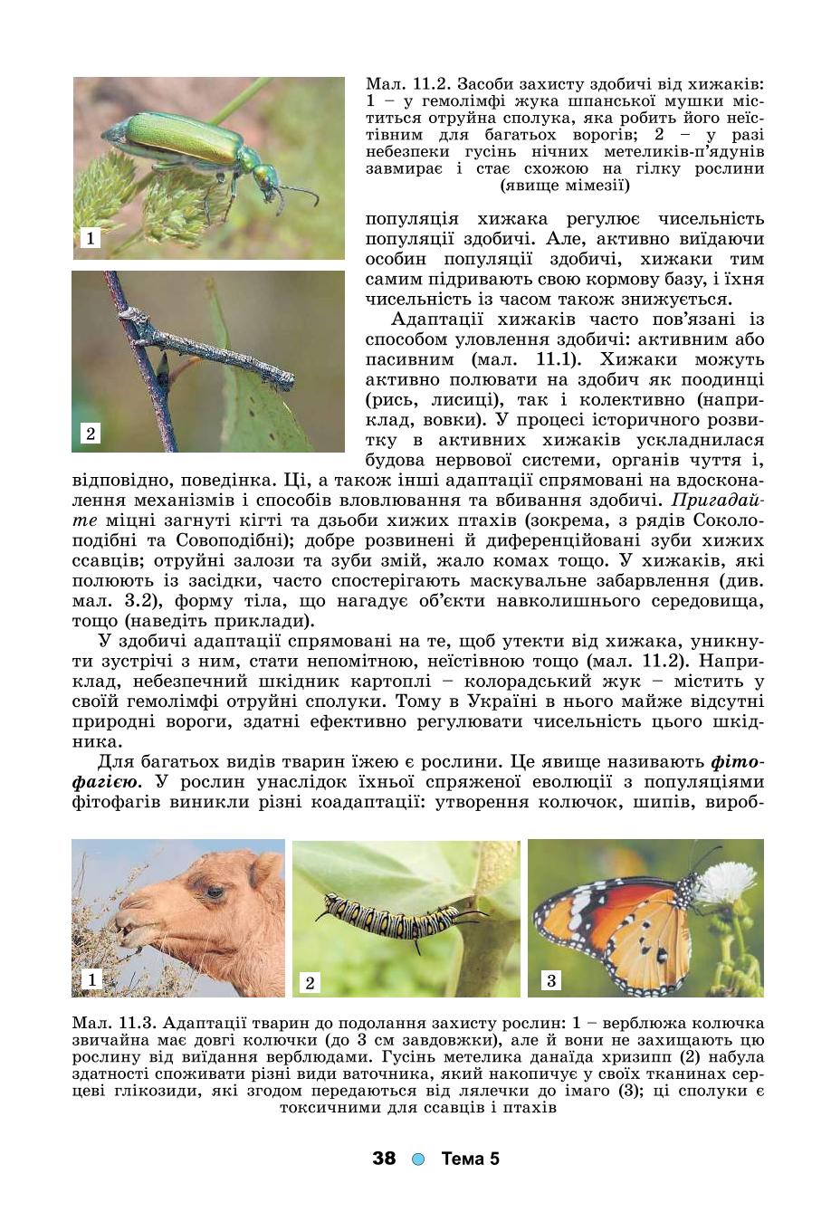Мініатюра 38