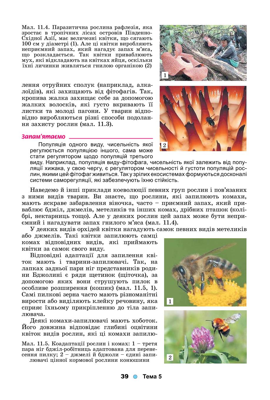 Мініатюра 39