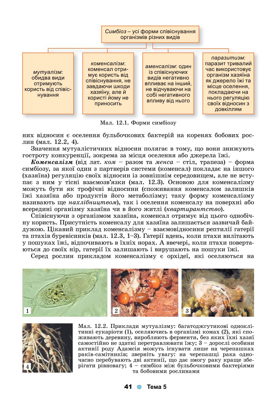 Мініатюра 41