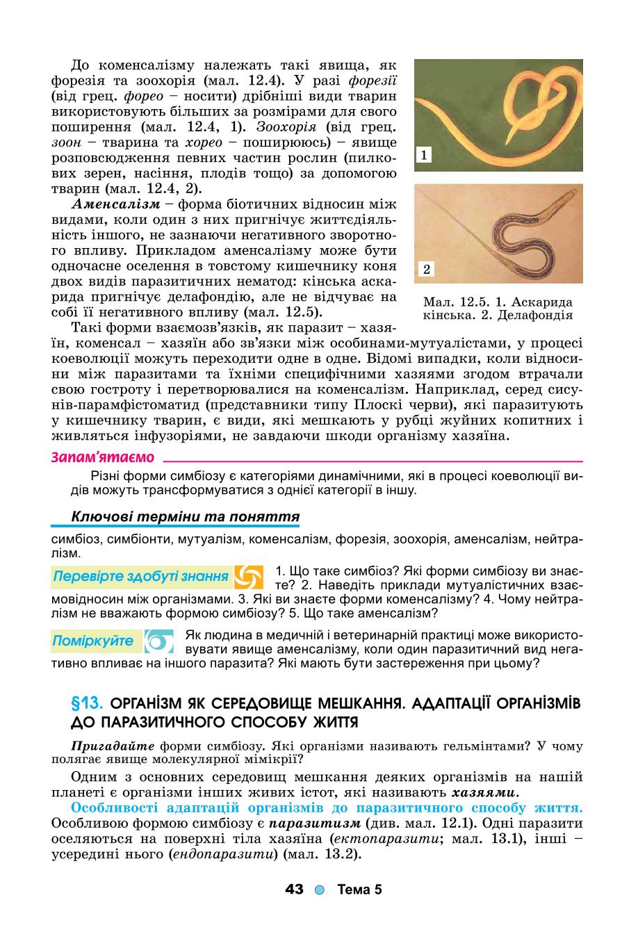 Мініатюра 43